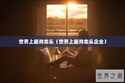 世界上最帅龙头（世界上最帅龙头企业）