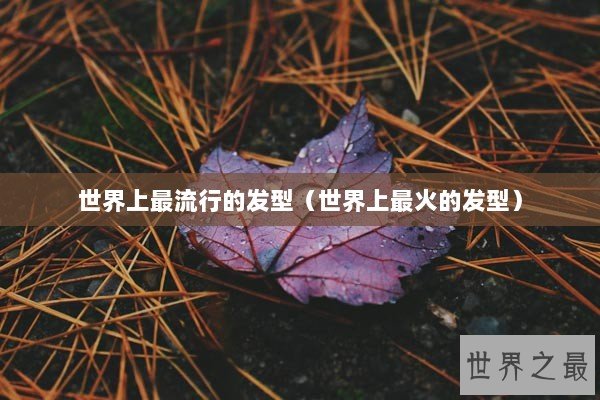 世界上最流行的发型（世界上最火的发型）
