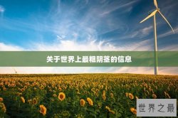 关于世界上最粗阴茎的信息