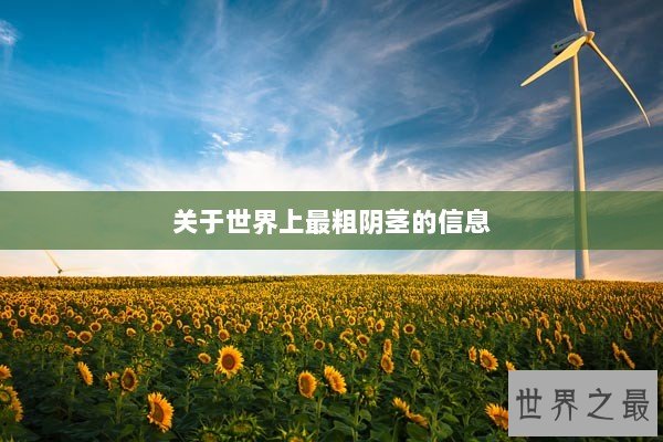 关于世界上最粗阴茎的信息