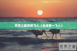 世界上最顶级飞人（全球第一飞人）