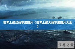 世界上最红的苹果图片（世界上最大的苹果图片大全）