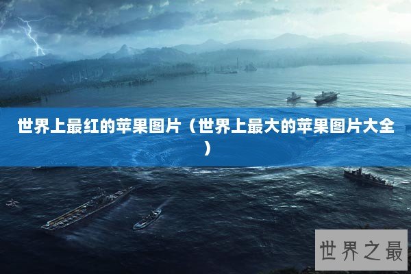 世界上最红的苹果图片（世界上最大的苹果图片大全）