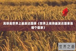 高铁是世界上最发达国家（世界上高铁最发达国家是哪个国家）