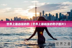 世界上最凶猛的豹（世界上最凶猛的豹子图片）