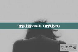 世界上最538=几（世界上63）