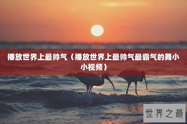 播放世界上最帅气（播放世界上最帅气最霸气的舞小小视频）