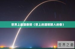 世界上最飘香醉（世上的酒啊醉人的香）