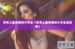 世界上最完美的小木车（世界上最完美的小木车读后感）