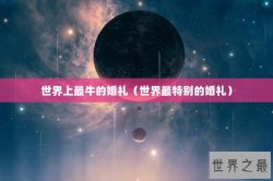 世界上最牛的婚礼（世界最特别的婚礼）
