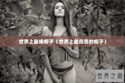 世界上最棒帽子（世界上最昂贵的帽子）