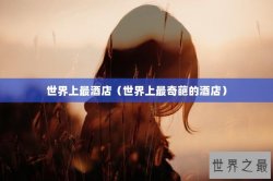 世界上最酒店（世界上最奇葩的酒店）