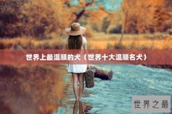世界上最温顺的犬（世界十大温顺名犬）