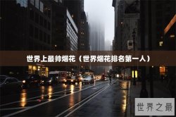世界上最帅烟花（世界烟花排名第一人）