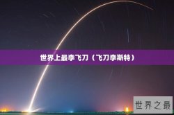 世界上最李飞刀（飞刀李斯特）