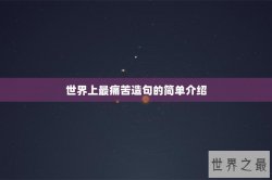 世界上最痛苦造句的简单介绍