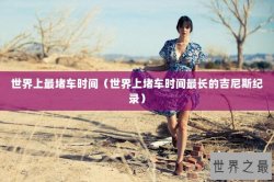 世界上最堵车时间（世界上堵车时间最长的吉尼斯纪录）