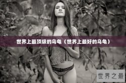 世界上最顶级的乌龟（世界上最好的乌龟）