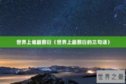 世界上谁最敷衍（世界上最敷衍的三句话）