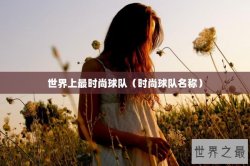 世界上最时尚球队（时尚球队名称）