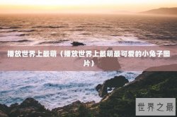 播放世界上最萌（播放世界上最萌最可爱的小兔子图片）