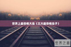 世界上最恐怖大虫（三大最恐怖虫子）
