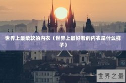 世界上最柔软的内衣（世界上最好看的内衣是什么样子）