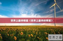 世界上最帅明星（世界上最帅的明星）