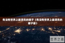 有没有世界上最漂亮的裙子（有没有世界上最漂亮的裙子画）