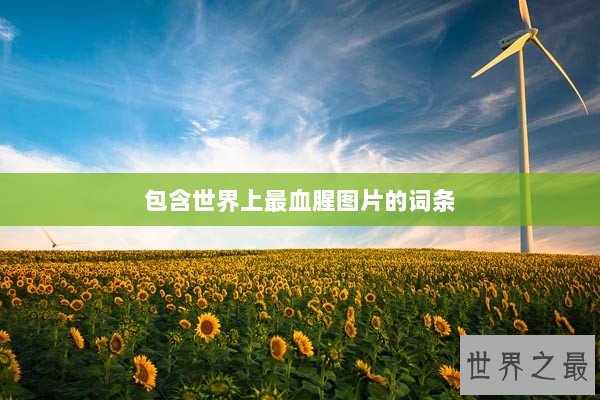 包含世界上最血腥图片的词条