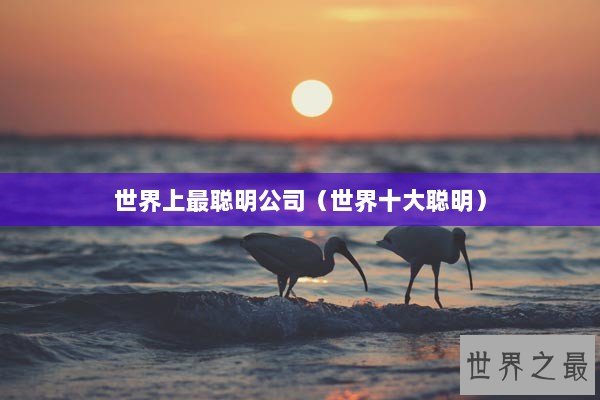世界上最聪明公司(世界十大聪明) 世界上最聪明公司(世界十大聪明)