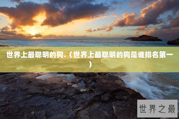 世界上最聪明的狗.(世界上最聪明的狗是谁排名第一) 世界上最聪明的狗.(世界上最聪明的狗是谁排名第一)