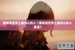 我就是世界上最伤心的人（我就是世界上最伤心的人英语）