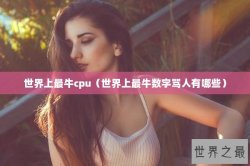 世界上最牛cpu（世界上最牛数字骂人有哪些）