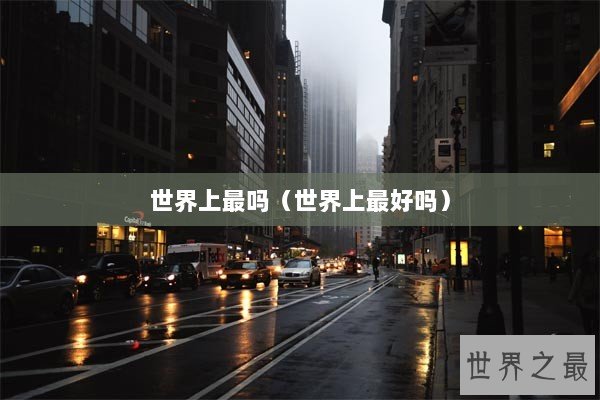 世界上最吗（世界上最好吗）