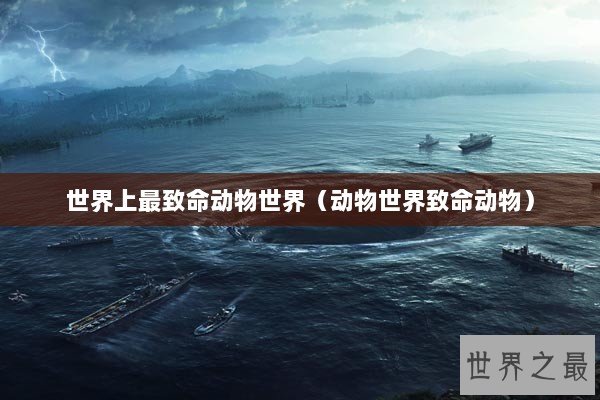 世界上最致命动物世界（动物世界致命动物）