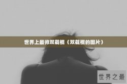 世界上最帅双截棍（双截棍的图片）