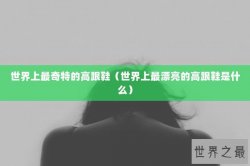 世界上最奇特的高跟鞋（世界上最漂亮的高跟鞋是什么）