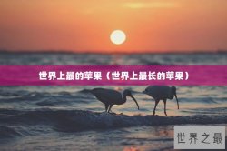 世界上最的苹果（世界上最长的苹果）