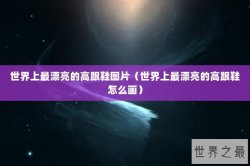 世界上最漂亮的高跟鞋图片（世界上最漂亮的高跟鞋怎么画）
