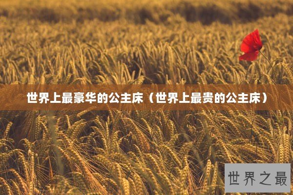 世界上最豪华的公主床（世界上最贵的公主床）