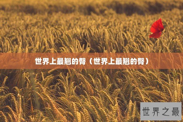 世界上最翘的臀（世界上最翘的臀）