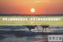 世界上最奇怪的游泳池（世界上最奇怪的游泳池图片）
