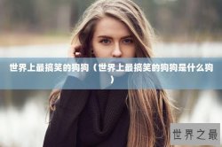 世界上最搞笑的狗狗（世界上最搞笑的狗狗是什么狗）