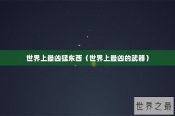 世界上最凶猛东西（世界上最凶的武器）