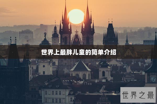 世界上最胖儿童的简单介绍