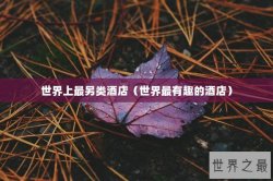 世界上最另类酒店（世界最有趣的酒店）
