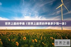 世界上最的手表（世界上最贵的手表多少钱一块）