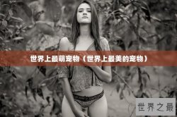 世界上最萌宠物（世界上最美的宠物）