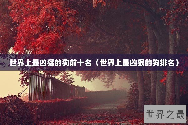 世界上最凶猛的狗前十名（世界上最凶狠的狗排名）